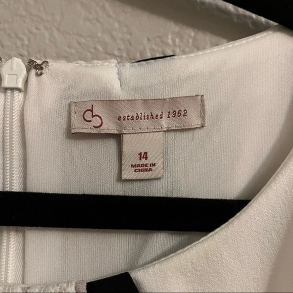 COPY - Colorblock Lace Inset Sheath Dress - Picture 5 of 5